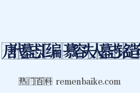 唐代墓志汇编·慕容夫人墓志铭造句是什么意思的图片